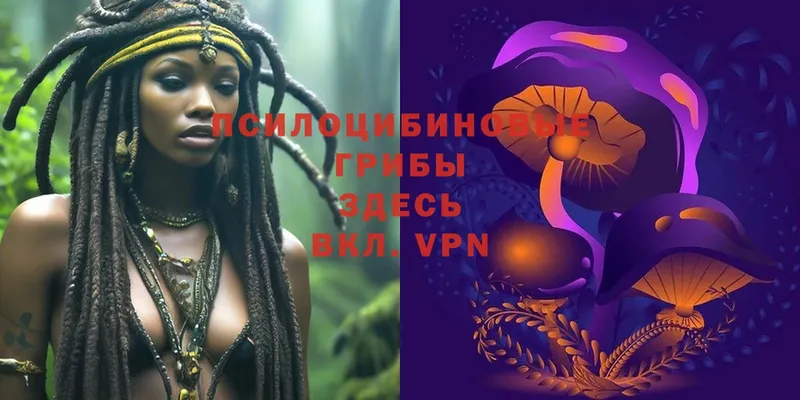 Псилоцибиновые грибы Magic Shrooms  блэк спрут вход  Грозный  дарнет шоп 